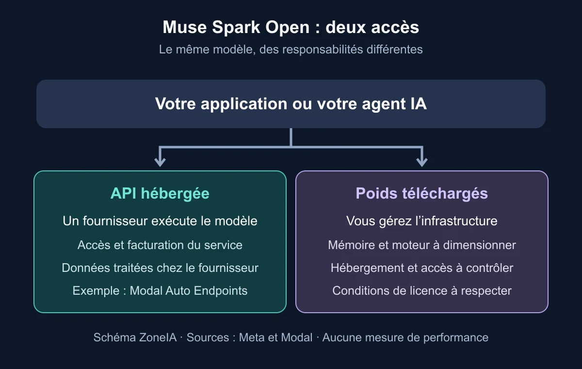 Deux accès à Muse Spark Open : API chez un fournisseur ou poids téléchargés sur une infrastructure à gérer