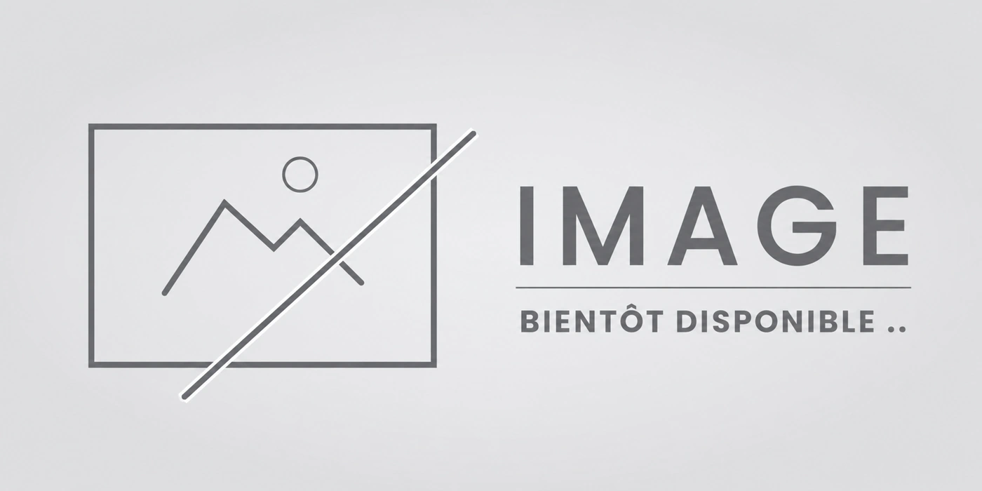 Principes Neurosciences dans l'IA